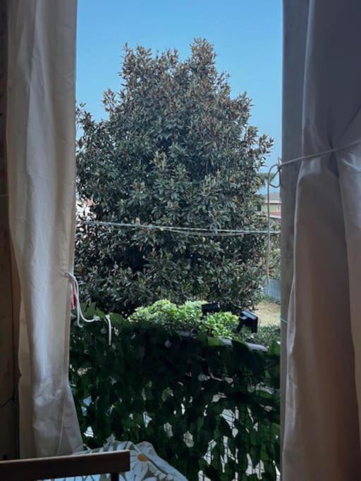 Appartamento Treviglio-Centro Exteriér fotografie
